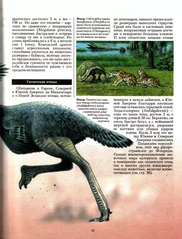 Алан Тернер - Большая энциклопедия доисторических животных - Страница № 22