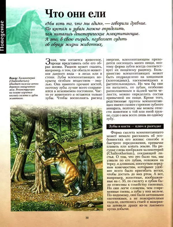 Алан Тернер - Большая энциклопедия доисторических животных - Страница № 29