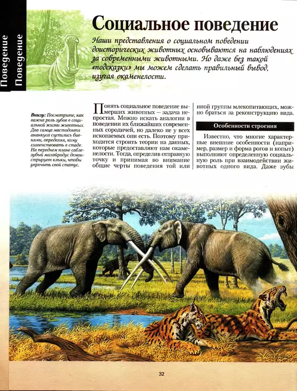 Алан Тернер - Большая энциклопедия доисторических животных - Страница № 31