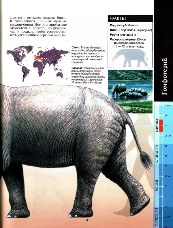 Алан Тернер - Большая энциклопедия доисторических животных - Страница № 62
