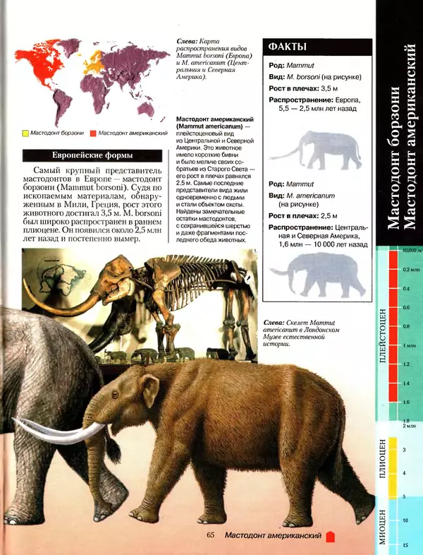 Алан Тернер - Большая энциклопедия доисторических животных - Страница № 64