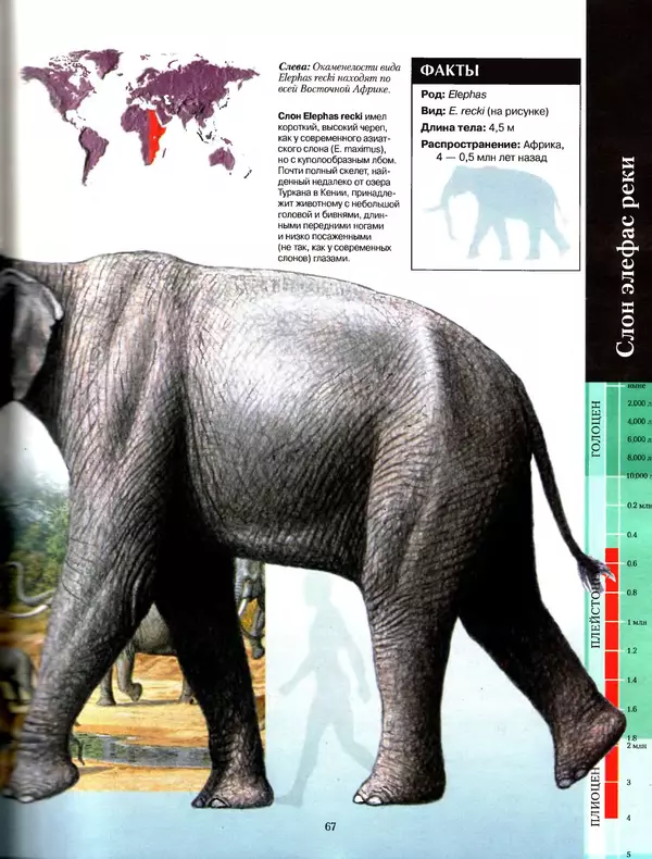 Алан Тернер - Большая энциклопедия доисторических животных - Страница № 66