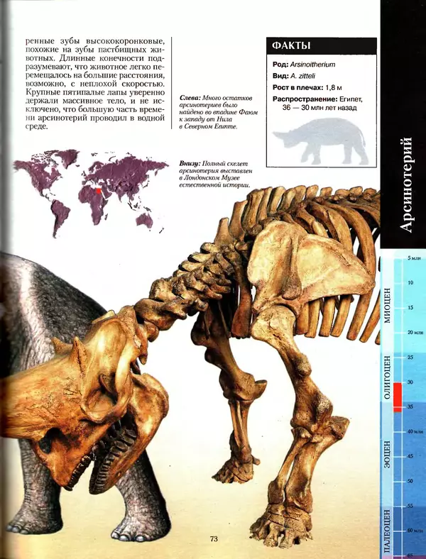 Алан Тернер - Большая энциклопедия доисторических животных - Страница № 72
