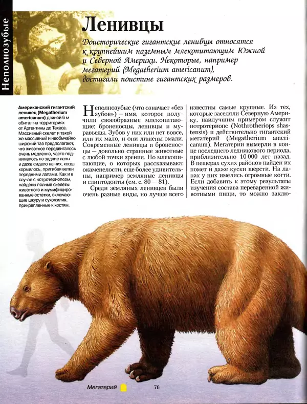Алан Тернер - Большая энциклопедия доисторических животных - Страница № 75