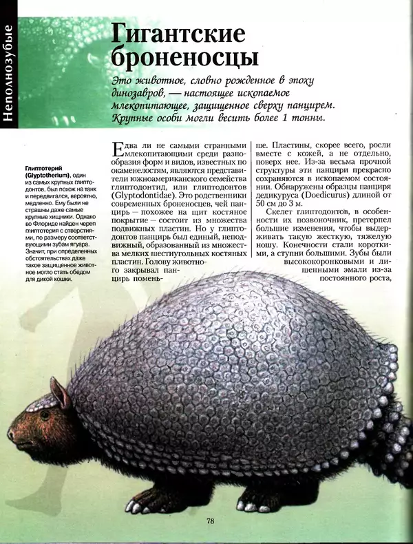 Алан Тернер - Большая энциклопедия доисторических животных - Страница № 77