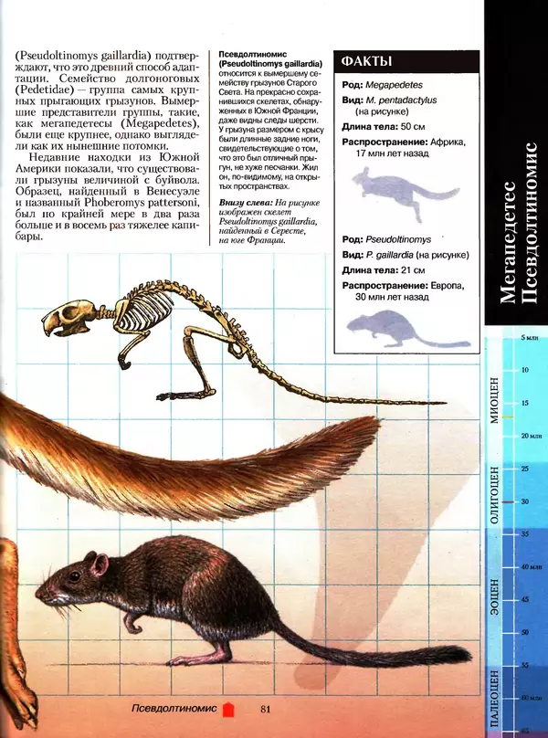 Алан Тернер - Большая энциклопедия доисторических животных - Страница № 80
