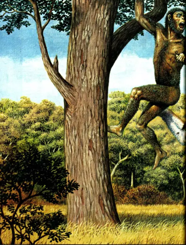 Алан Тернер - Большая энциклопедия доисторических животных - Страница № 89