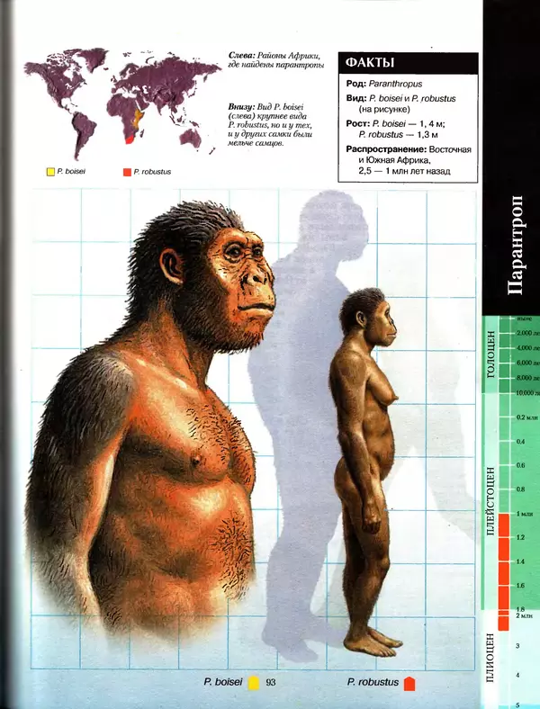 Алан Тернер - Большая энциклопедия доисторических животных - Страница № 92