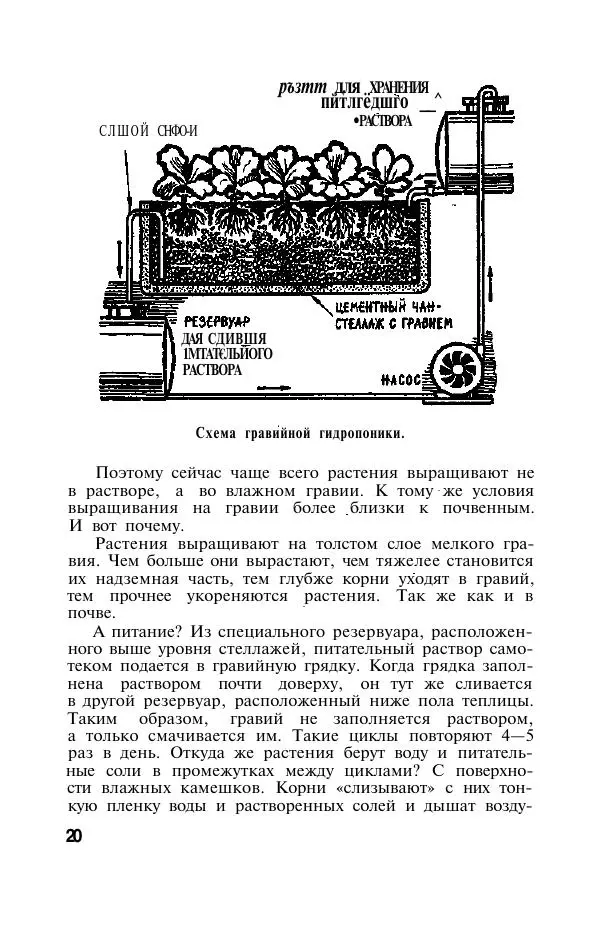 Дмитрий Вахмистров - Растения без почвы - Страница № 21