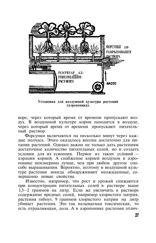 Дмитрий Вахмистров - Растения без почвы - Страница № 28