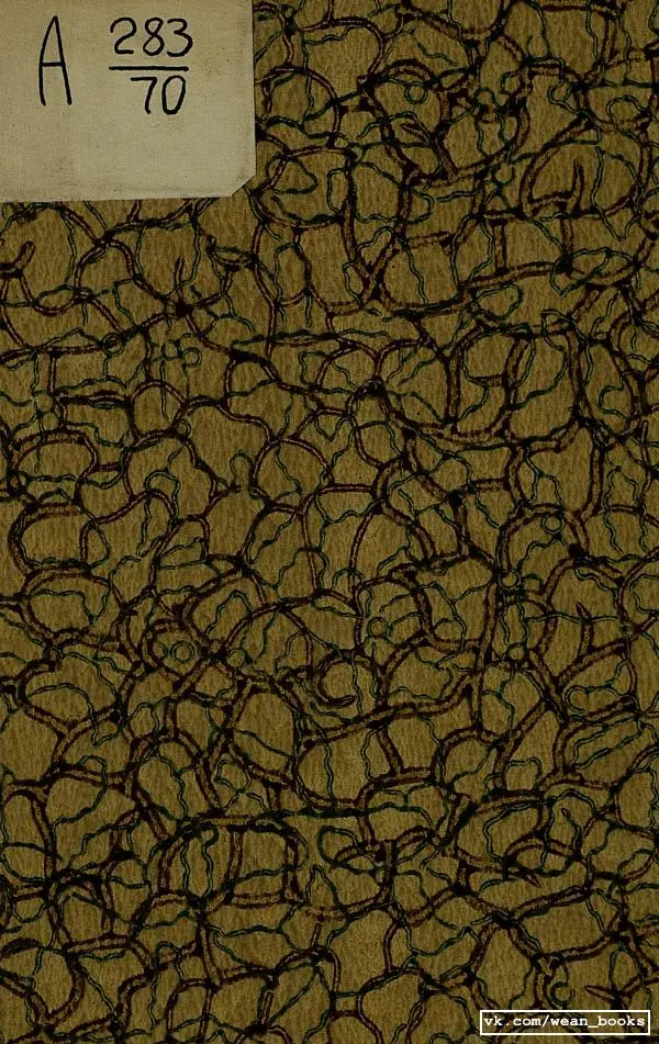 Иоасаф Любич-Кошуров - Чародей - Страница № 1