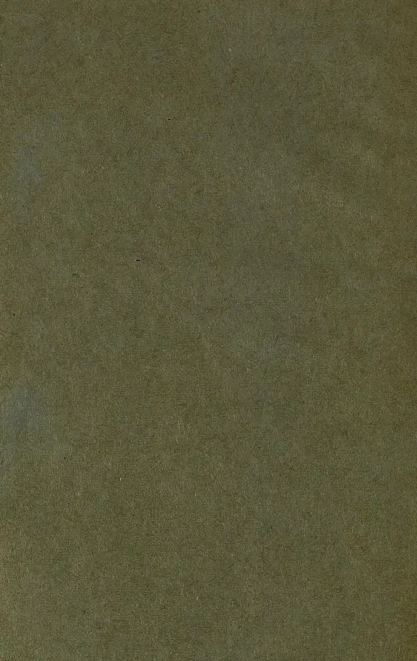 Иоасаф Любич-Кошуров - Чародей - Страница № 4