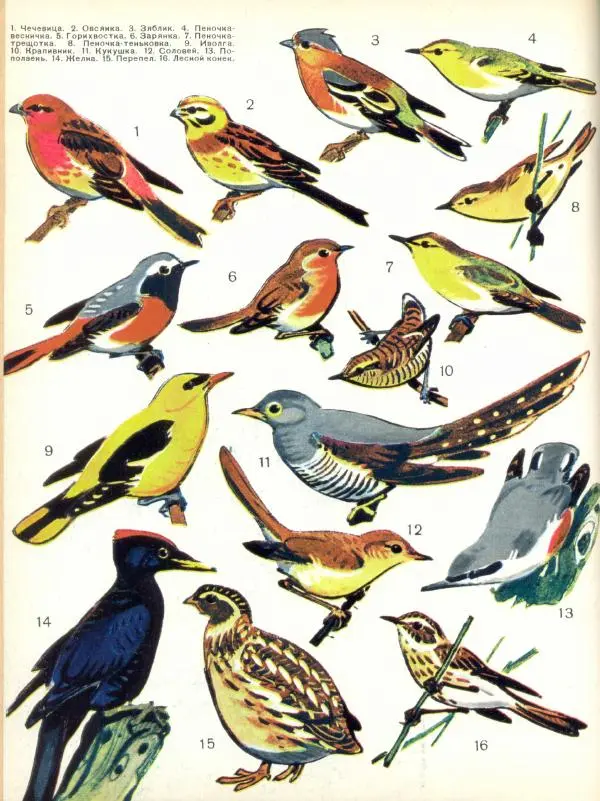  журнал «Семья и школа» - Семья и школа 1968 №05 - Страница № 72