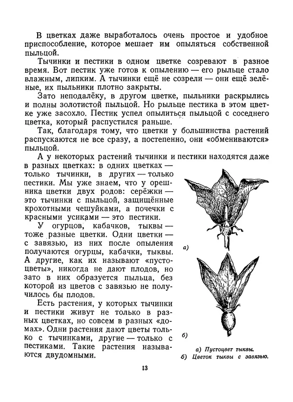 Вера Ветлина - Рассказы о цветах - Страница № 14