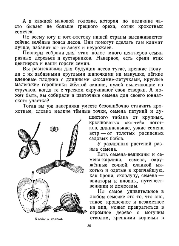 Вера Ветлина - Рассказы о цветах - Страница № 31