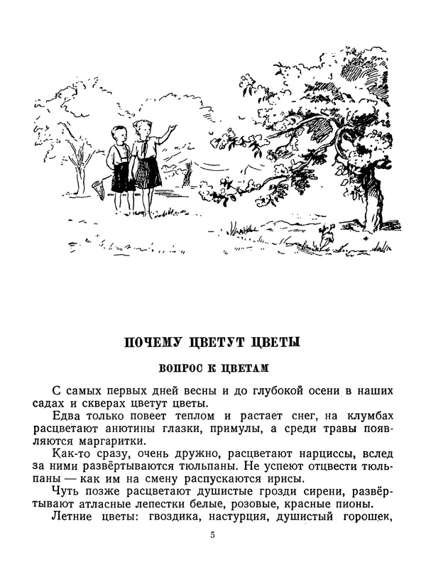 Вера Ветлина - Рассказы о цветах - Страница № 6