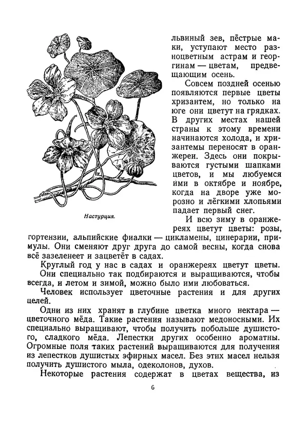 Вера Ветлина - Рассказы о цветах - Страница № 7