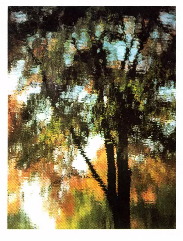 Питер Рейвн - Современная ботаника. В 2х томах. Том 1 - Страница № 10