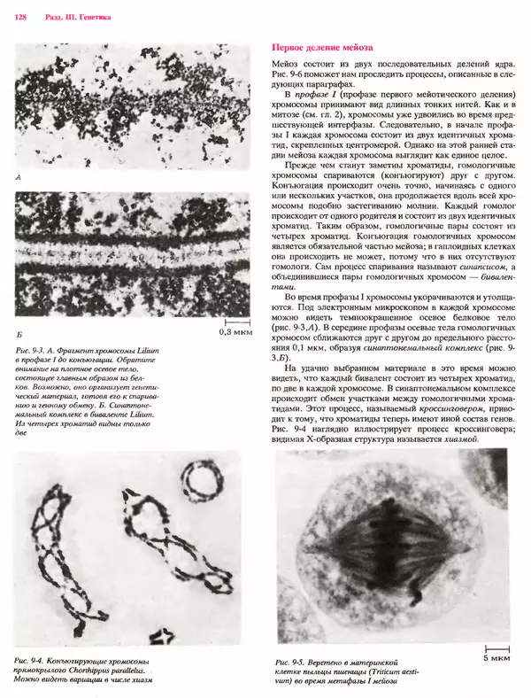 Питер Рейвн - Современная ботаника. В 2х томах. Том 1 - Страница № 128