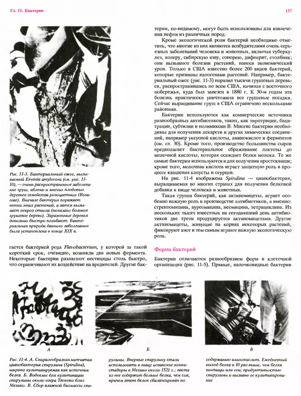 Питер Рейвн - Современная ботаника. В 2х томах. Том 1 - Страница № 157