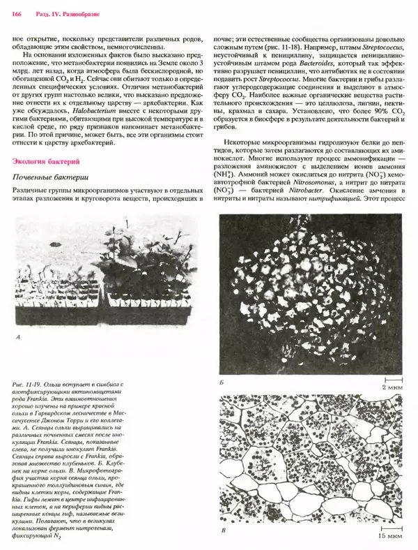 Питер Рейвн - Современная ботаника. В 2х томах. Том 1 - Страница № 166