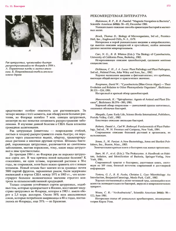 Питер Рейвн - Современная ботаника. В 2х томах. Том 1 - Страница № 173