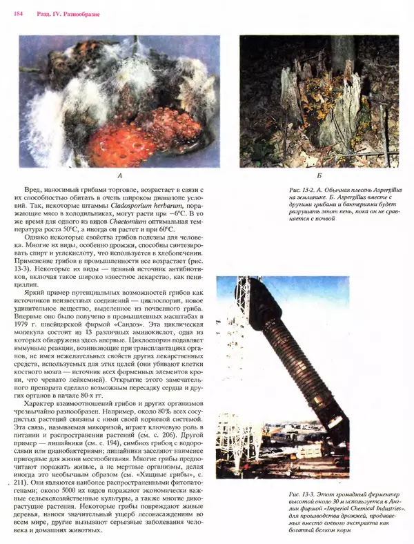 Питер Рейвн - Современная ботаника. В 2х томах. Том 1 - Страница № 184