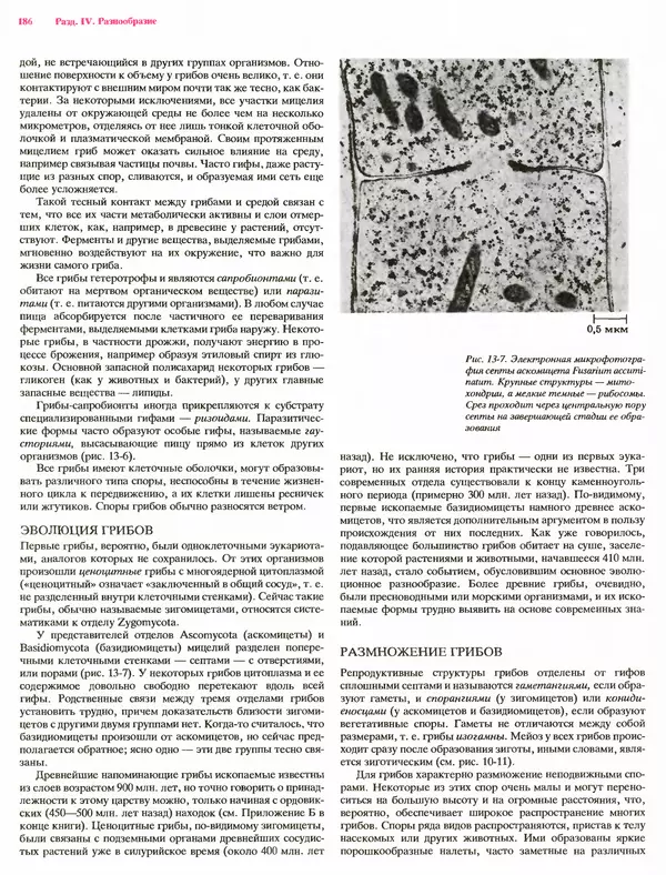 Питер Рейвн - Современная ботаника. В 2х томах. Том 1 - Страница № 186