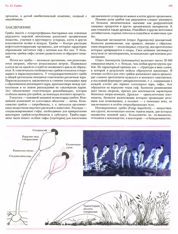 Питер Рейвн - Современная ботаника. В 2х томах. Том 1 - Страница № 209