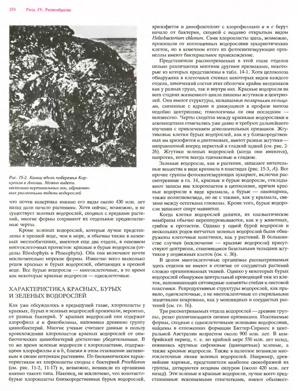 Питер Рейвн - Современная ботаника. В 2х томах. Том 1 - Страница № 234