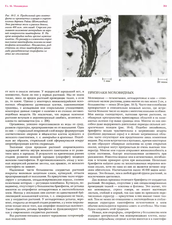 Питер Рейвн - Современная ботаника. В 2х томах. Том 1 - Страница № 261