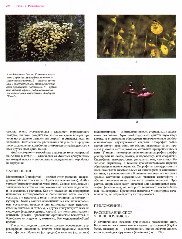 Питер Рейвн - Современная ботаника. В 2х томах. Том 1 - Страница № 278