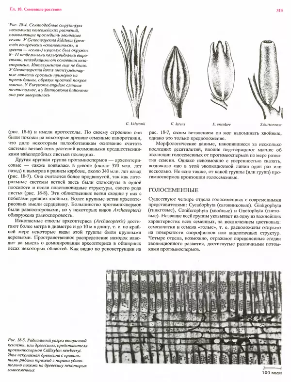 Питер Рейвн - Современная ботаника. В 2х томах. Том 1 - Страница № 313