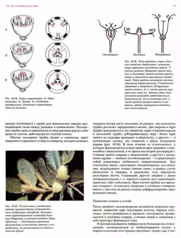 Питер Рейвн - Современная ботаника. В 2х томах. Том 1 - Страница № 337