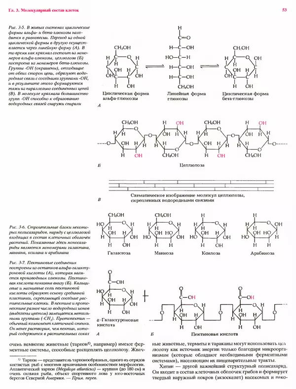 Питер Рейвн - Современная ботаника. В 2х томах. Том 1 - Страница № 53