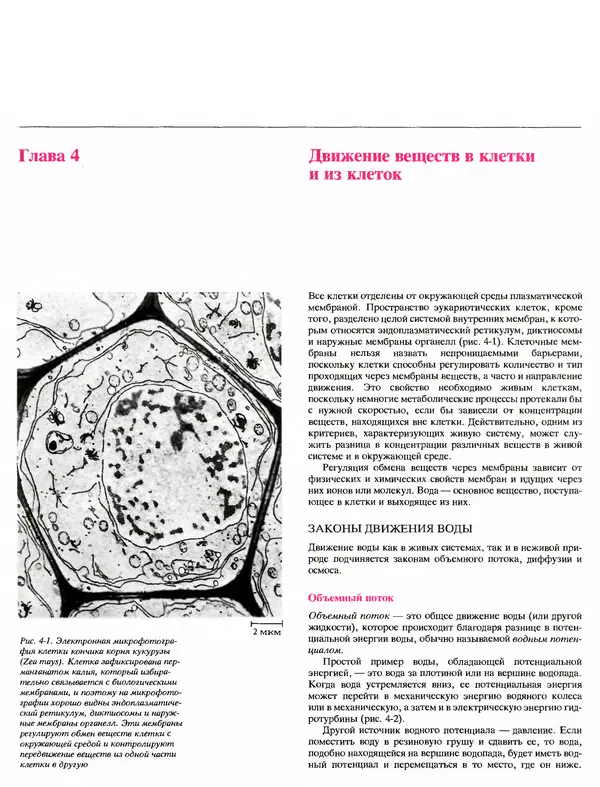 Питер Рейвн - Современная ботаника. В 2х томах. Том 1 - Страница № 63