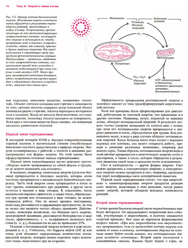 Питер Рейвн - Современная ботаника. В 2х томах. Том 1 - Страница № 74