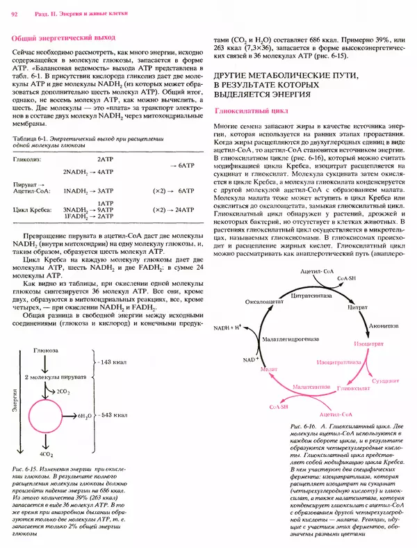 Питер Рейвн - Современная ботаника. В 2х томах. Том 1 - Страница № 92