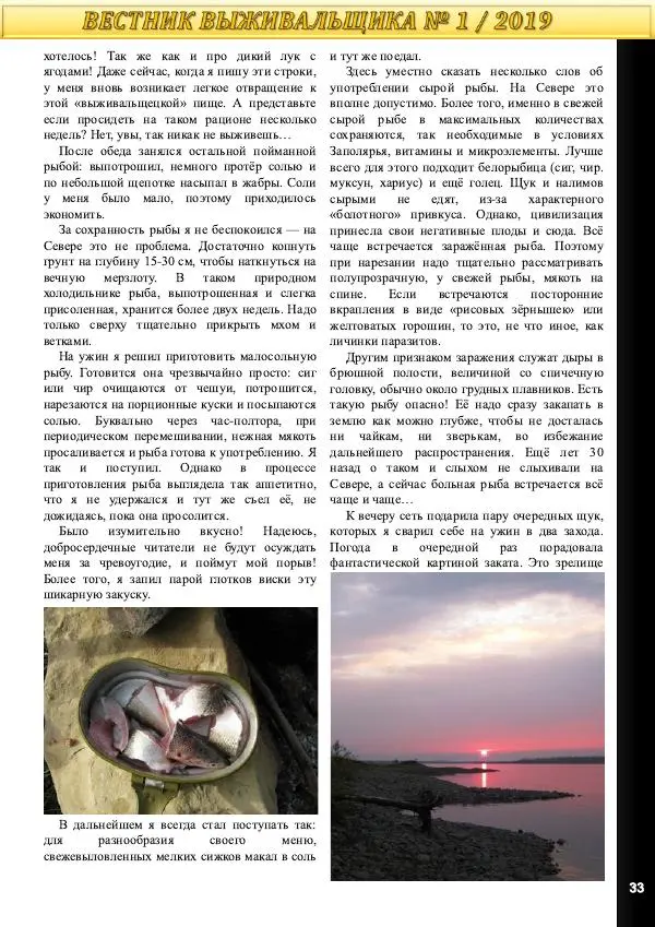  журнал «Вестник выживальщика» - Вестник выживальщика 2019 №01 - Страница № 33