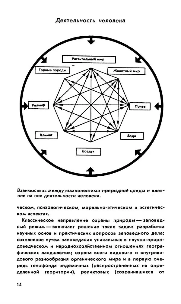 Степан Стойко - Эталоны природы - Страница № 15