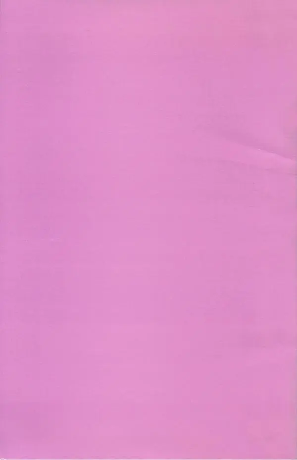 Самуил Шварцбанд - Летаргия - Страница № 81