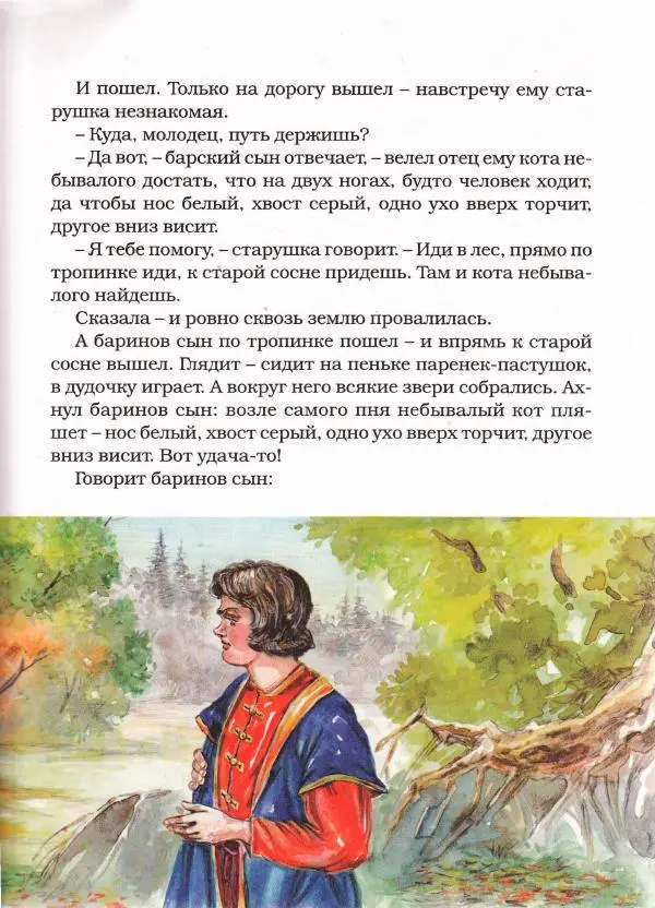  Автор неизвестен - Народные сказки - Чудесная дудочка. Русские сказки по народным сюжетам - Страница № 41