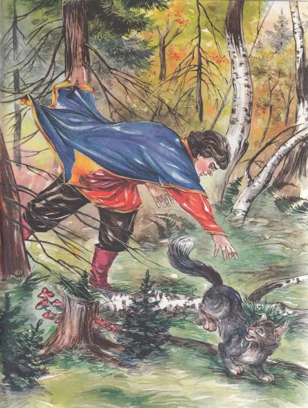  Автор неизвестен - Народные сказки - Чудесная дудочка. Русские сказки по народным сюжетам - Страница № 43