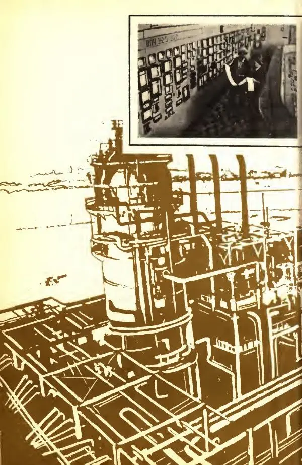 Леонид Цветков - Органическая химия. Учебник для 10 класса - Страница № 218