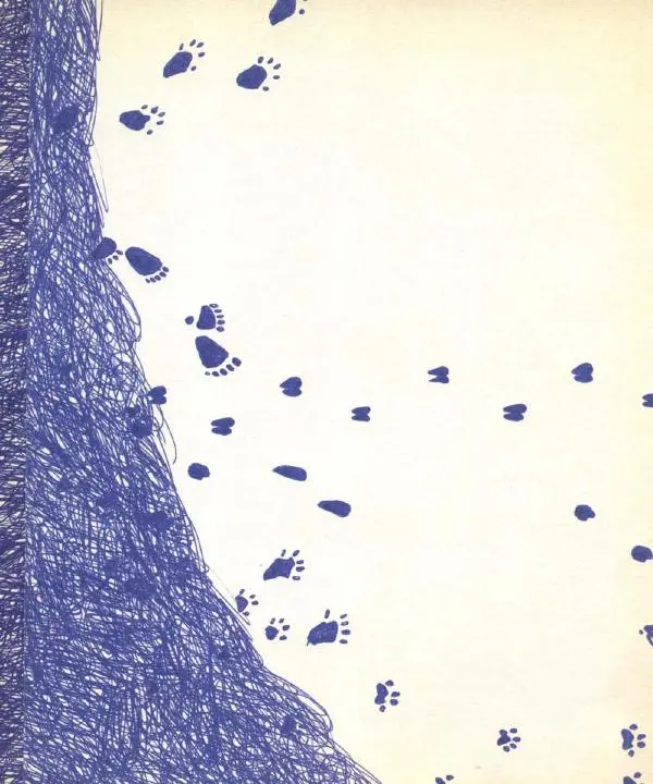 Станислав Востоков - Не кормить и не дразнить! Рассказы о Московском зоопарке - Страница № 2