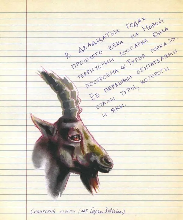 Станислав Востоков - Не кормить и не дразнить! Рассказы о Московском зоопарке - Страница № 8