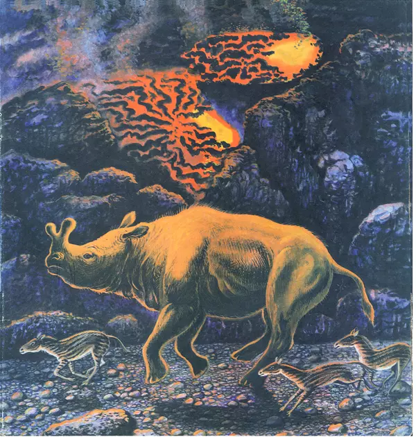 Ирина Яковлева - Палеонтология в картинках - Страница № 18