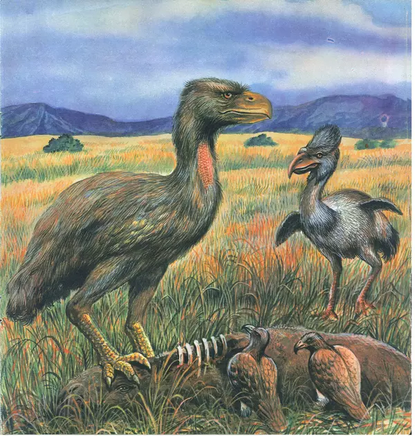 Ирина Яковлева - Палеонтология в картинках - Страница № 20