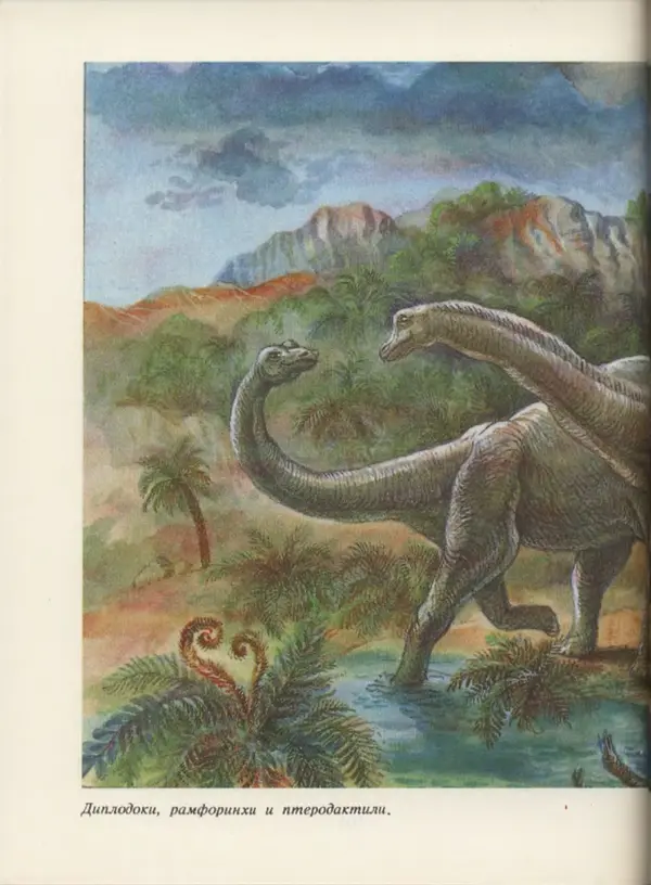 Ирина Яковлева - След динозавра - Страница № 104