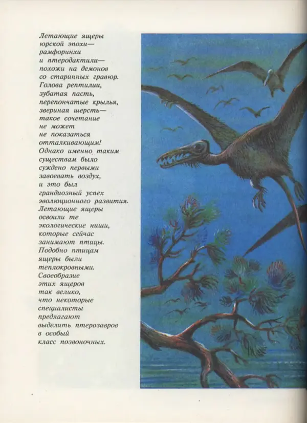 Ирина Яковлева - След динозавра - Страница № 112